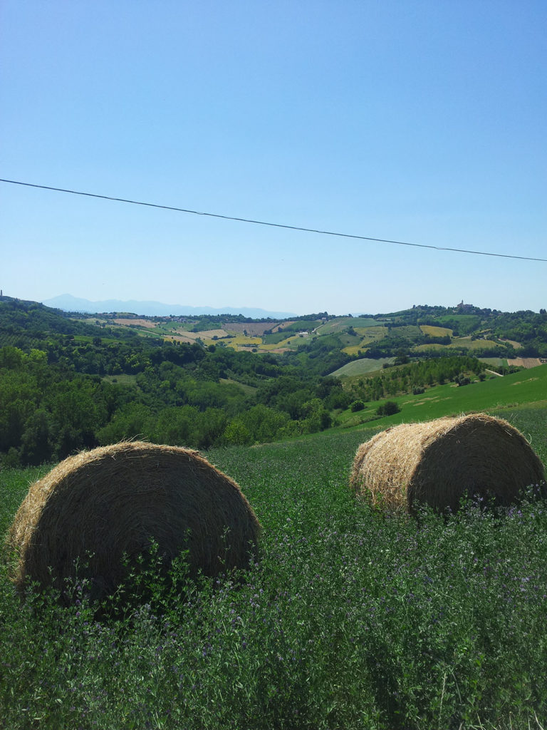 Balle e paesaggio