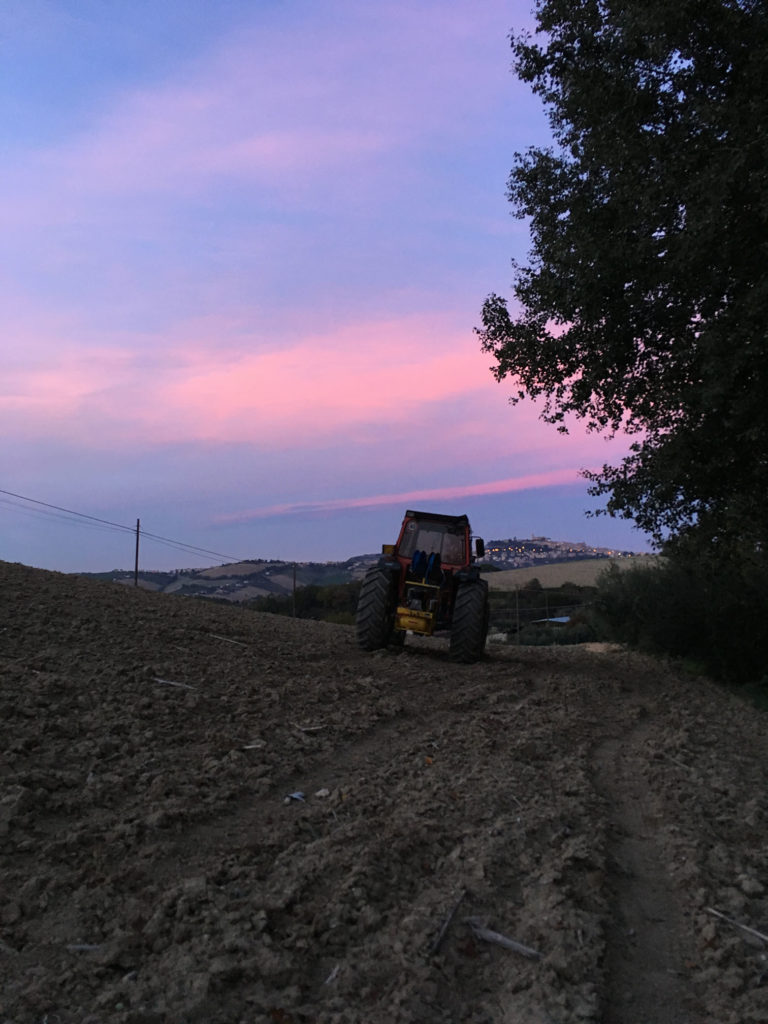 Trattore al tramonto